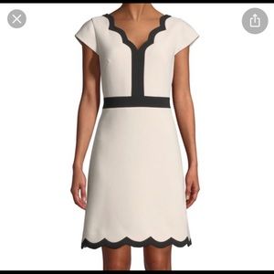Kate Spade size 10 NWT A line dress.
